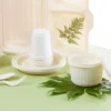 compostable dishes